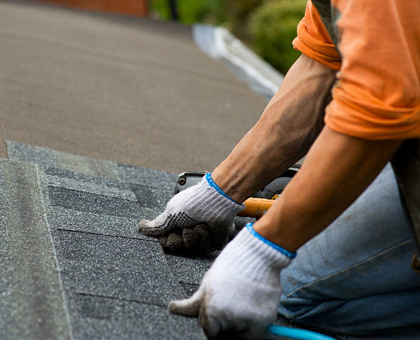 Best Storm Damage Roof Repair  in Barrington Hls, IL