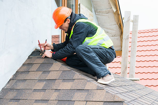 Best Gutter Installation and Roofing  in Barrington Hls, IL